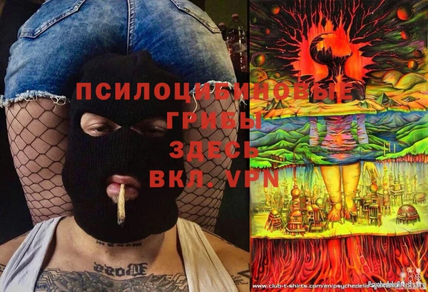 COCAINE Бородино