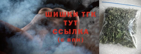 СК Бронницы