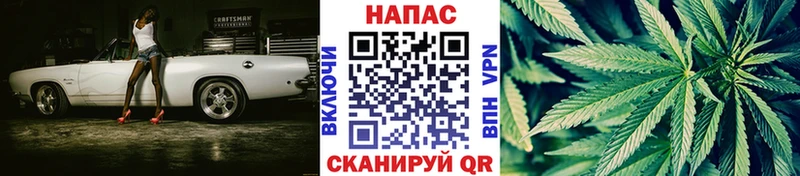 Каннабис конопля  hydra онион  Новосокольники 